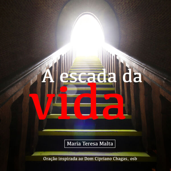 CD A Escada da Vida